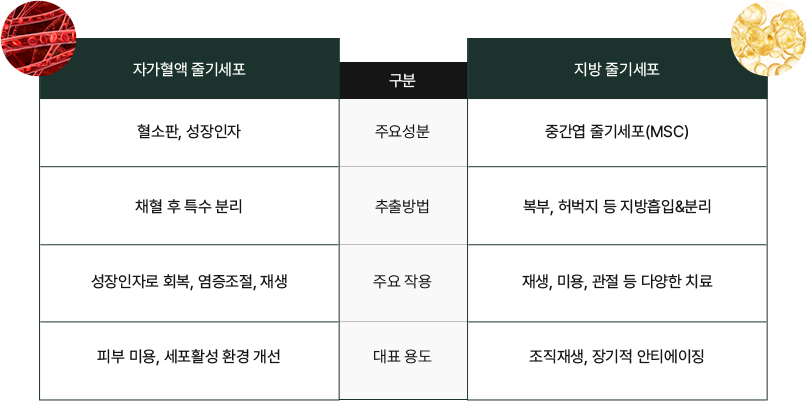 핵심 강점